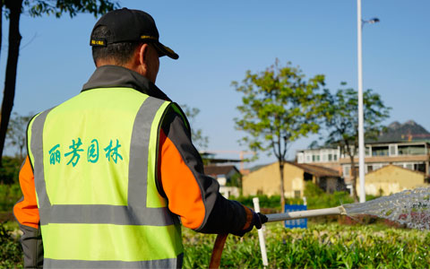 喜讯！乐天堂园林韶关市政道路养护项目获表彰！