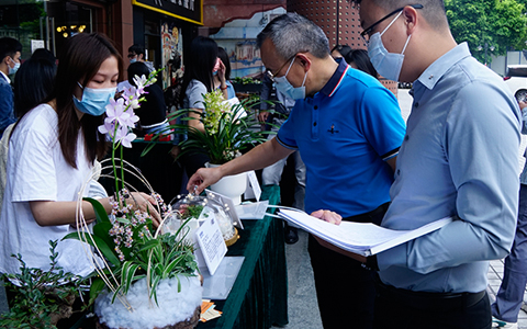 乐天堂园林园艺康养盆栽竞赛圆满举办，现场精彩缤纷~